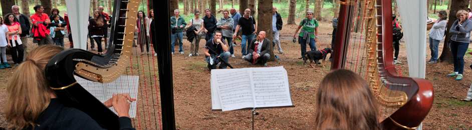 Parole nel bosco